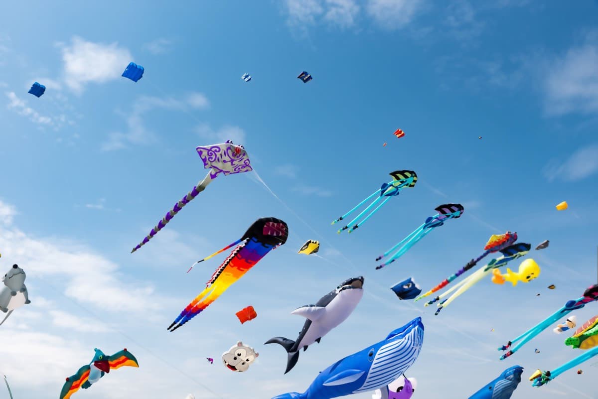 Cape Town International Kite Festival