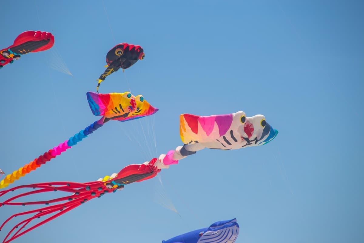 Cape Town International Kite Festival